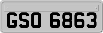 GSO6863