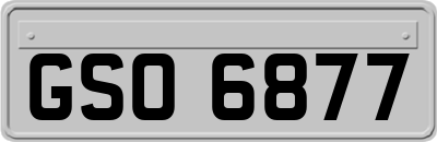 GSO6877