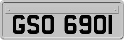 GSO6901