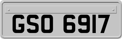 GSO6917