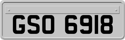 GSO6918