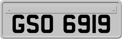 GSO6919