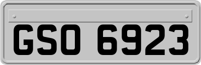 GSO6923