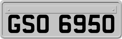 GSO6950