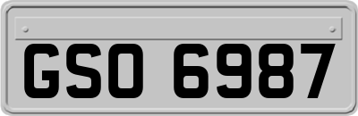 GSO6987