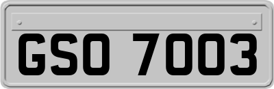 GSO7003