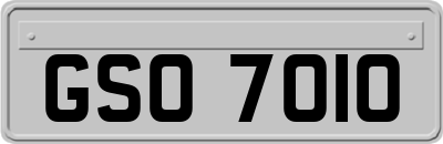 GSO7010