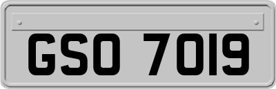 GSO7019
