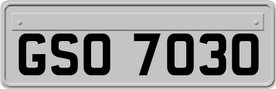 GSO7030