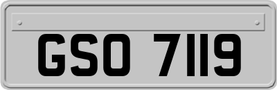 GSO7119