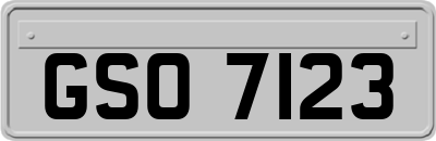 GSO7123