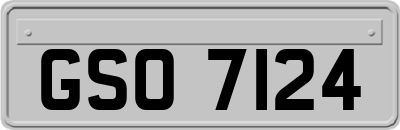 GSO7124