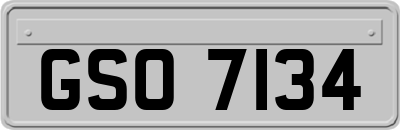 GSO7134