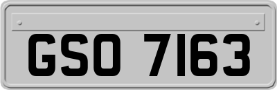 GSO7163
