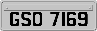 GSO7169