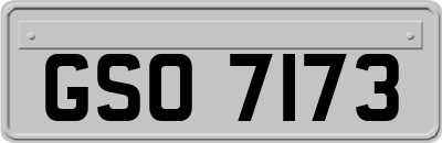 GSO7173
