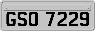 GSO7229