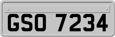 GSO7234