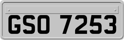 GSO7253