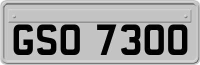GSO7300