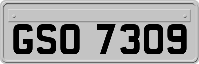 GSO7309