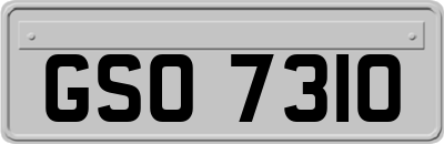 GSO7310