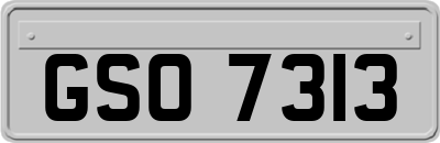 GSO7313