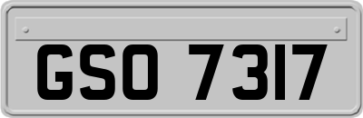 GSO7317