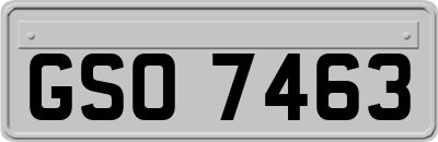 GSO7463