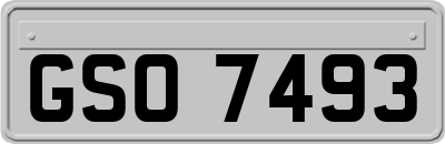 GSO7493