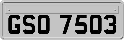 GSO7503