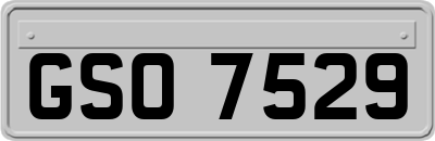 GSO7529