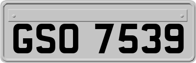 GSO7539