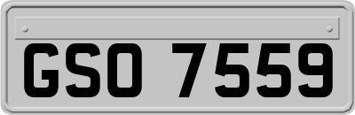 GSO7559