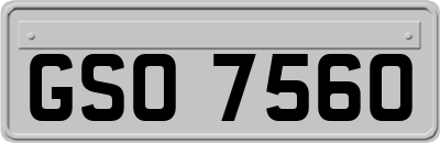 GSO7560