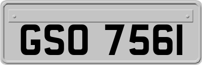 GSO7561