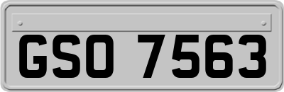 GSO7563