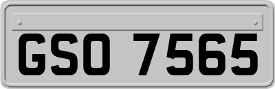 GSO7565