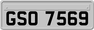 GSO7569