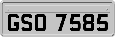 GSO7585