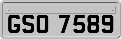 GSO7589