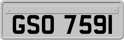 GSO7591