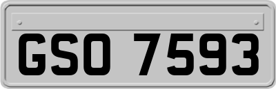 GSO7593