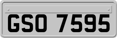 GSO7595