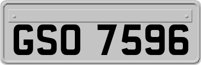 GSO7596