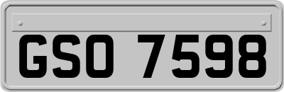 GSO7598