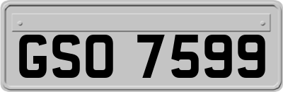 GSO7599