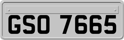 GSO7665