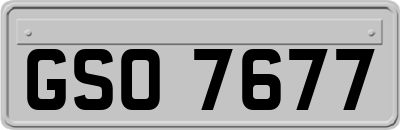 GSO7677