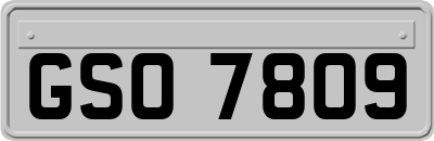 GSO7809